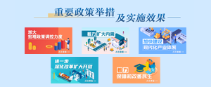 重要政策举措及实施效果