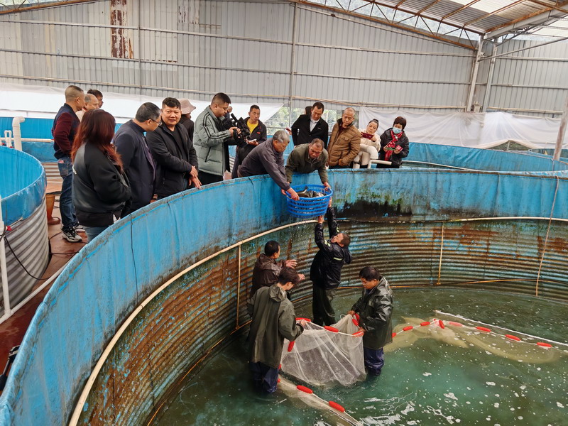 云浮盈富生态农业科技网上十大正规赌网址大全登录最新高位圆桶养殖基地走访见闻2.jpg
